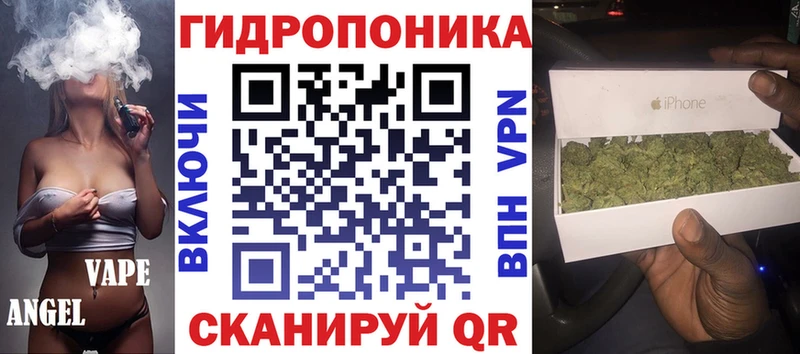 где купить   Сурск  hydra онион  Каннабис сатива 